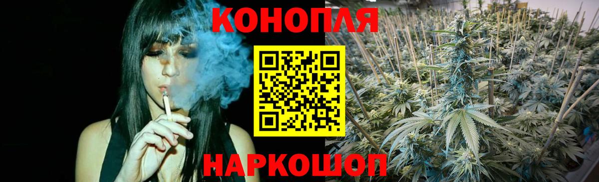 Конопля семена  Каннабис планчик  Вход с VPN  Конопля SATIVA & INDICA  Александров 